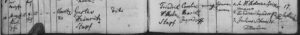 1848_0815_G060_Stapf_Gustav_Heinrich_BNR558_2