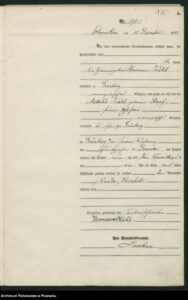 1893_1215_G175_Kuehl_Wanda_Elisabeth_BNR178