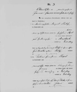 1876_0119_H003_Stapf_Pillaske_1
